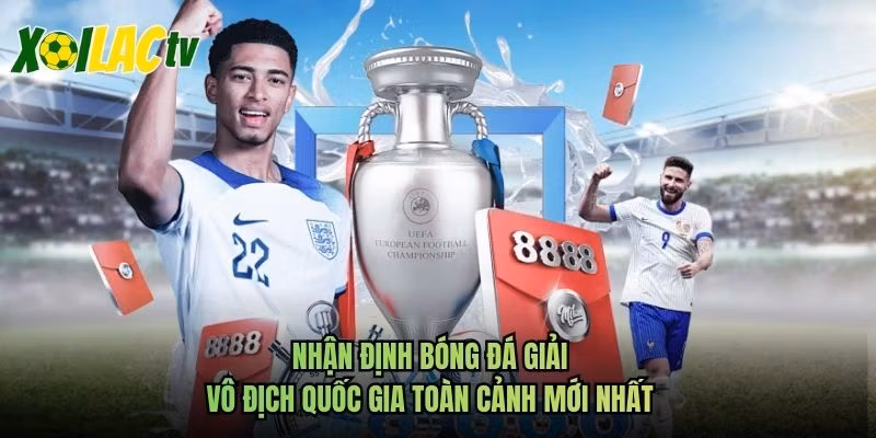 Nhận Định Bóng Đá Giải Vô Địch Quốc Gia Toàn Cảnh Mới Nhất