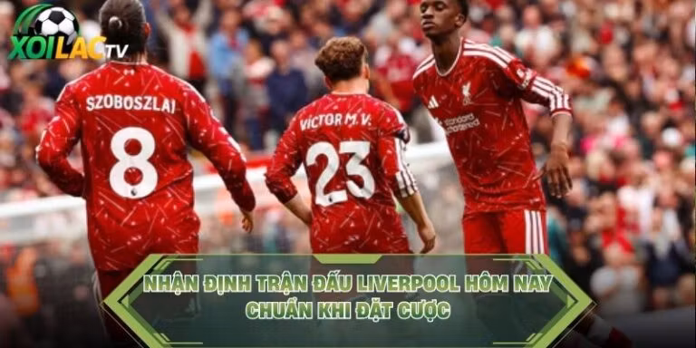 Nhận Định Trận Đấu Liverpool Hôm Nay Chuẩn Khi Đặt Cược